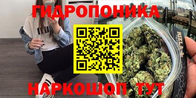 apvp Севастополь