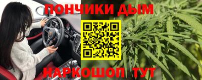 гидра Свободный