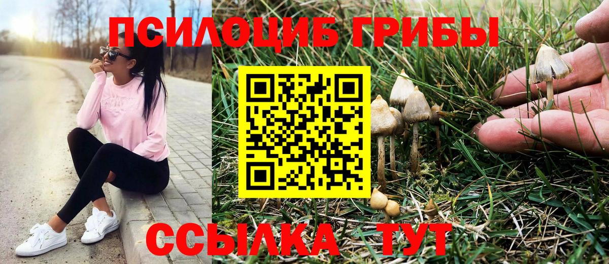 Архангельск  Галлюциногенные грибы GOLDEN TEACHER  Вход с VPN 